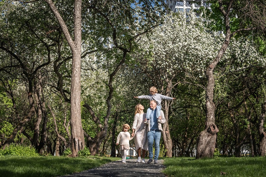 Яблоневый сад 8