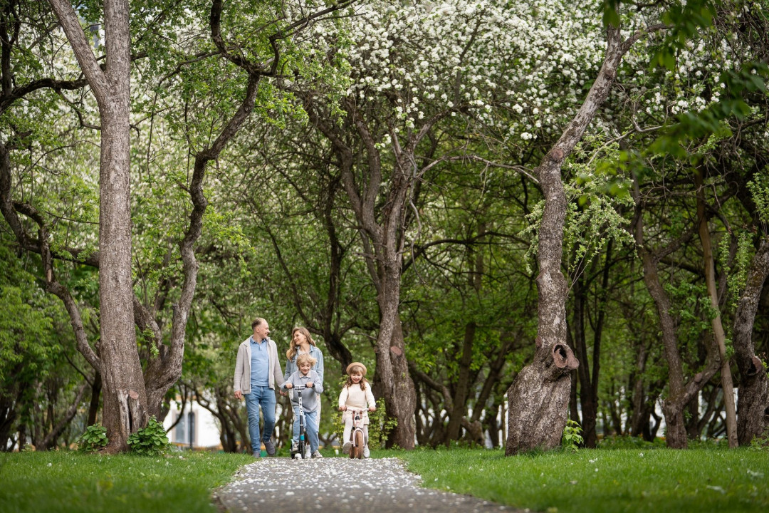 Яблоневый сад 1